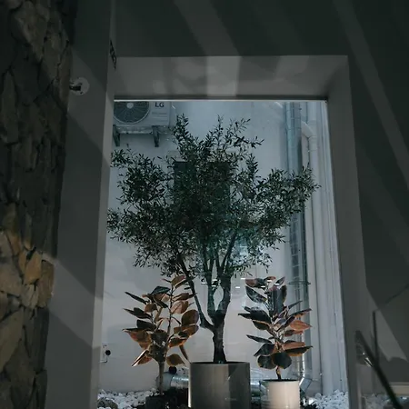 M'ar De Ar Auria 酒店